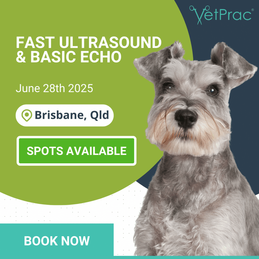 FAST ULTRASOUND BASIC ECHO