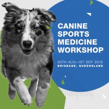 Canine Sports Medicine Workshop 600x600 V01