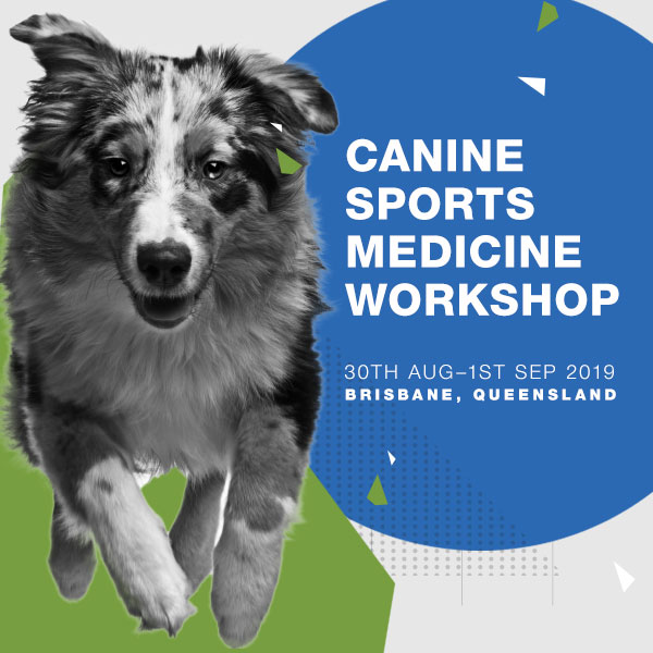 Canine Sports Medicine