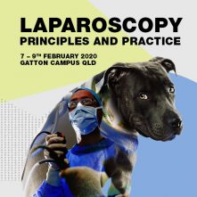 Laparoscopy 600x600 V01