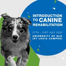 Introduction to Canine Rehabilitation 600x600 V02