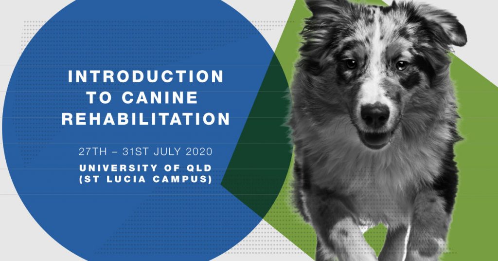 Introduction to Canine Rehabilitation 1200 x 628 D V02 1