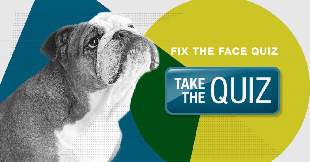 Fix The Face Quiz 1200 x 628 V01