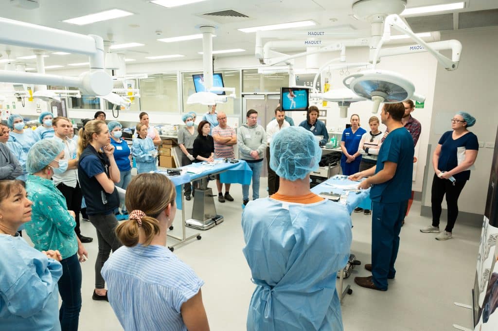 Vetpro Lessons VetPrac: Vet Nurse Courses | Online Veterinary Training Australia