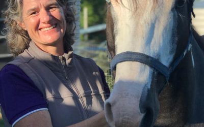 The importance of equine veterinary education