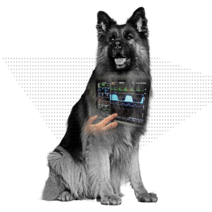 graphic-PPAM
