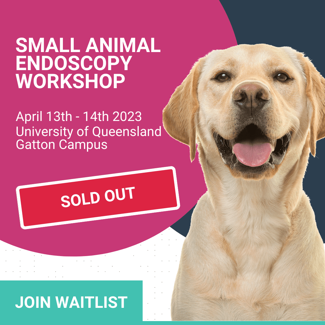 Small Animal Upper GI & Upper Airway Endoscopy - VetPrac Small Animal Upper GI & Upper Airway Endoscopy - VetPrac