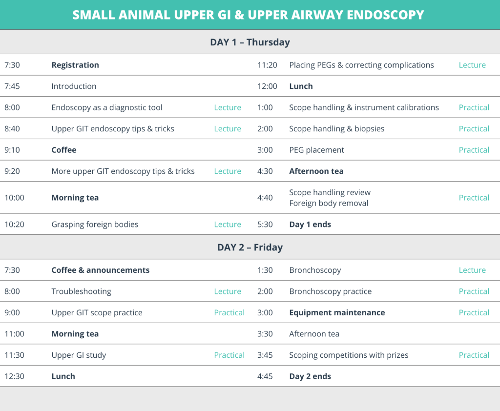Small Animal Upper GI & Upper Airway Endoscopy - VetPrac