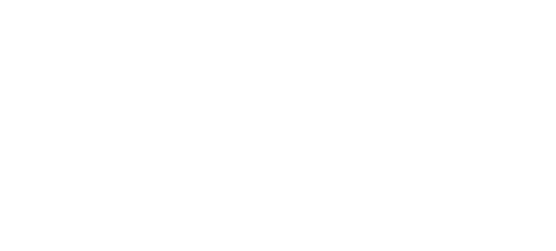 VetPrac Logo White
