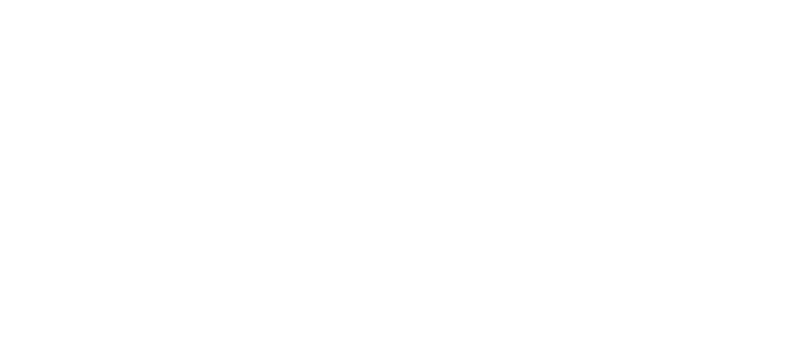 VetPrac Logo White