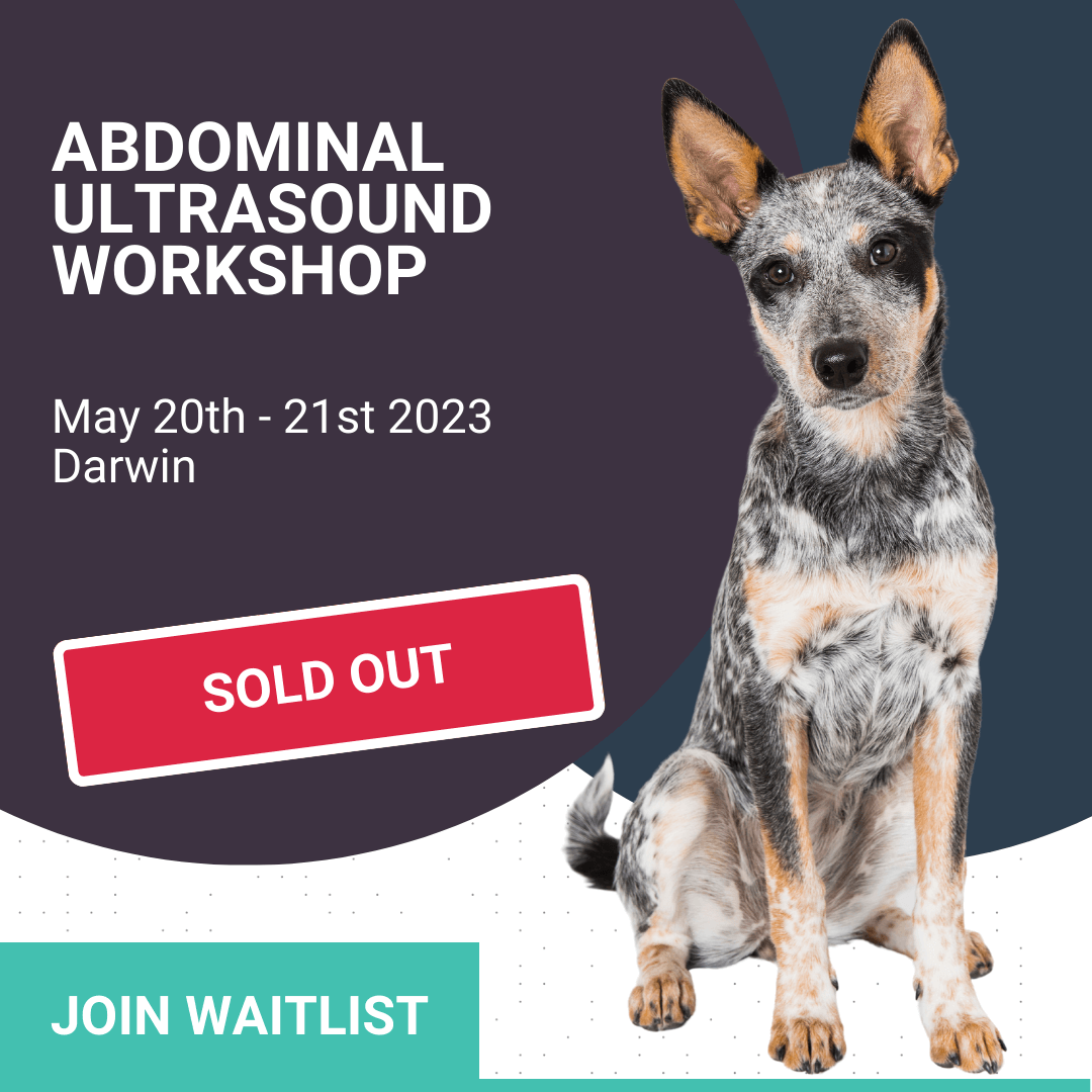 are dogs put to sleep for an ultrasound