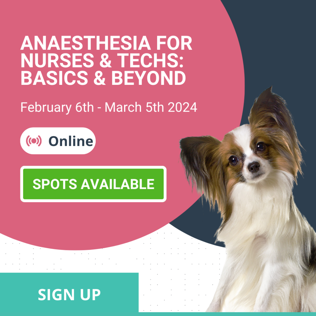 Anaesthesia basics and beyond spots available 1 1