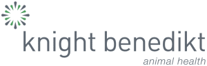 KnightBenediktLogo.300x97.c97ad836f0402aed702375c6486bfd20