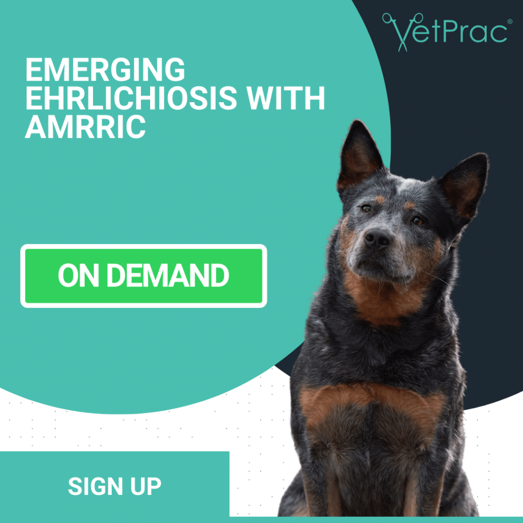 ehrlichiosis 1