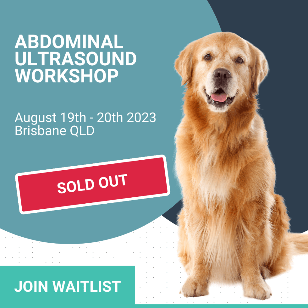 Abdominal Ultrasound sold out 2