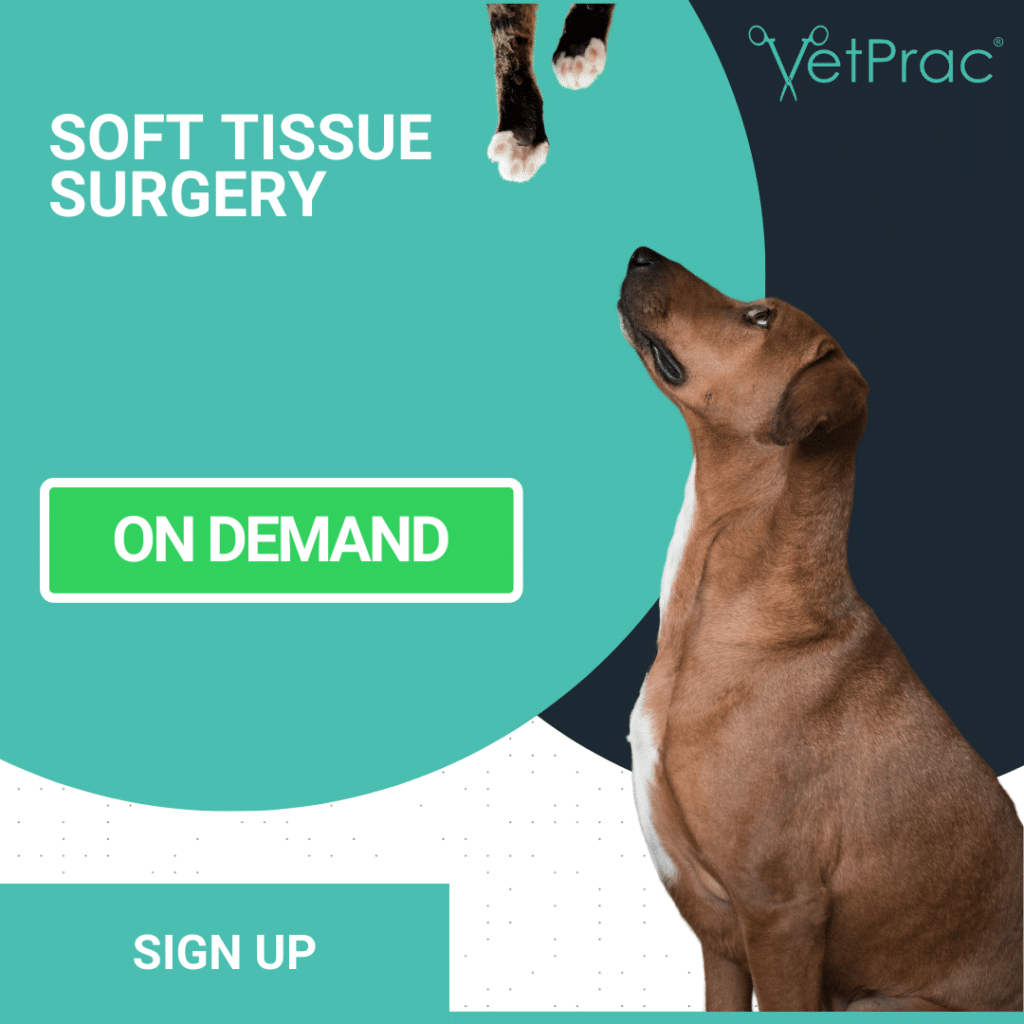 Soft tissue 2