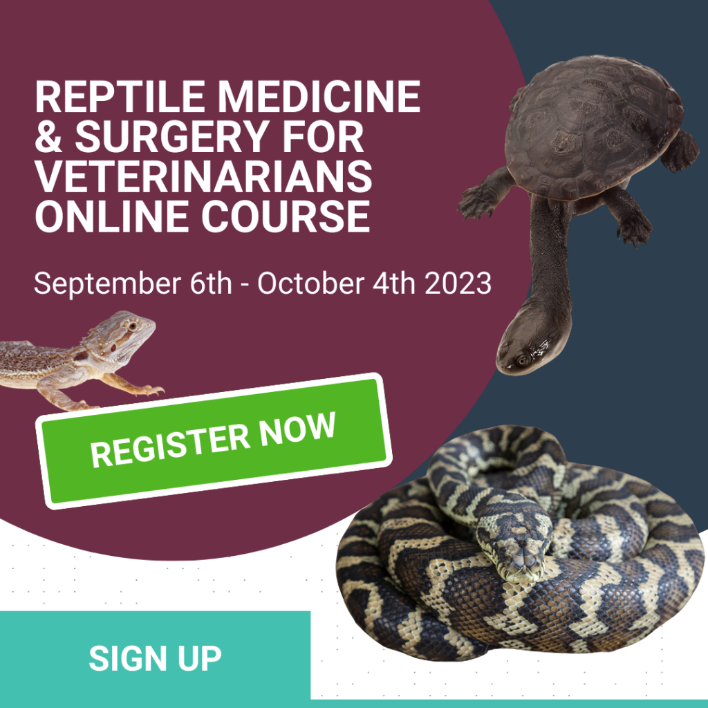 Reptile Medicine Surgery for Veterinarians coming soon 1