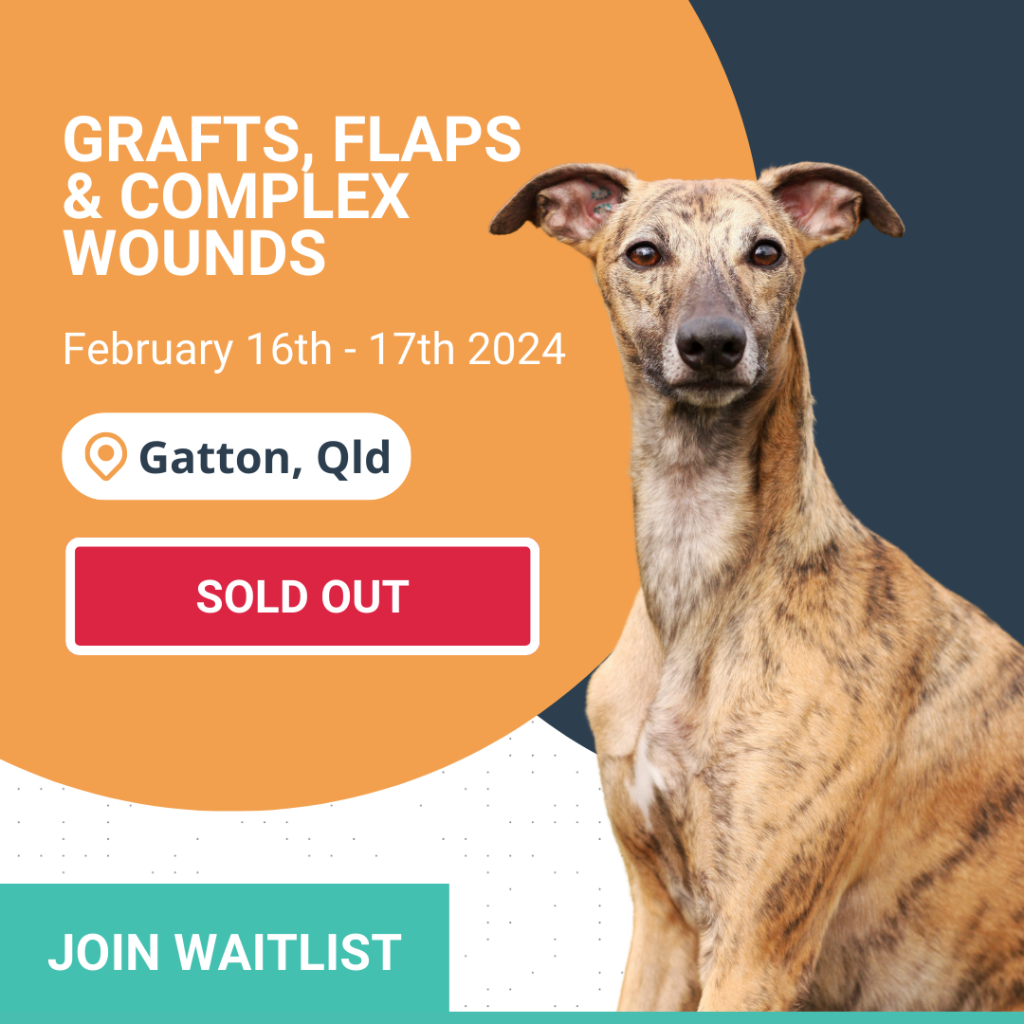 Grafts Flaps Complex Wounds sold out