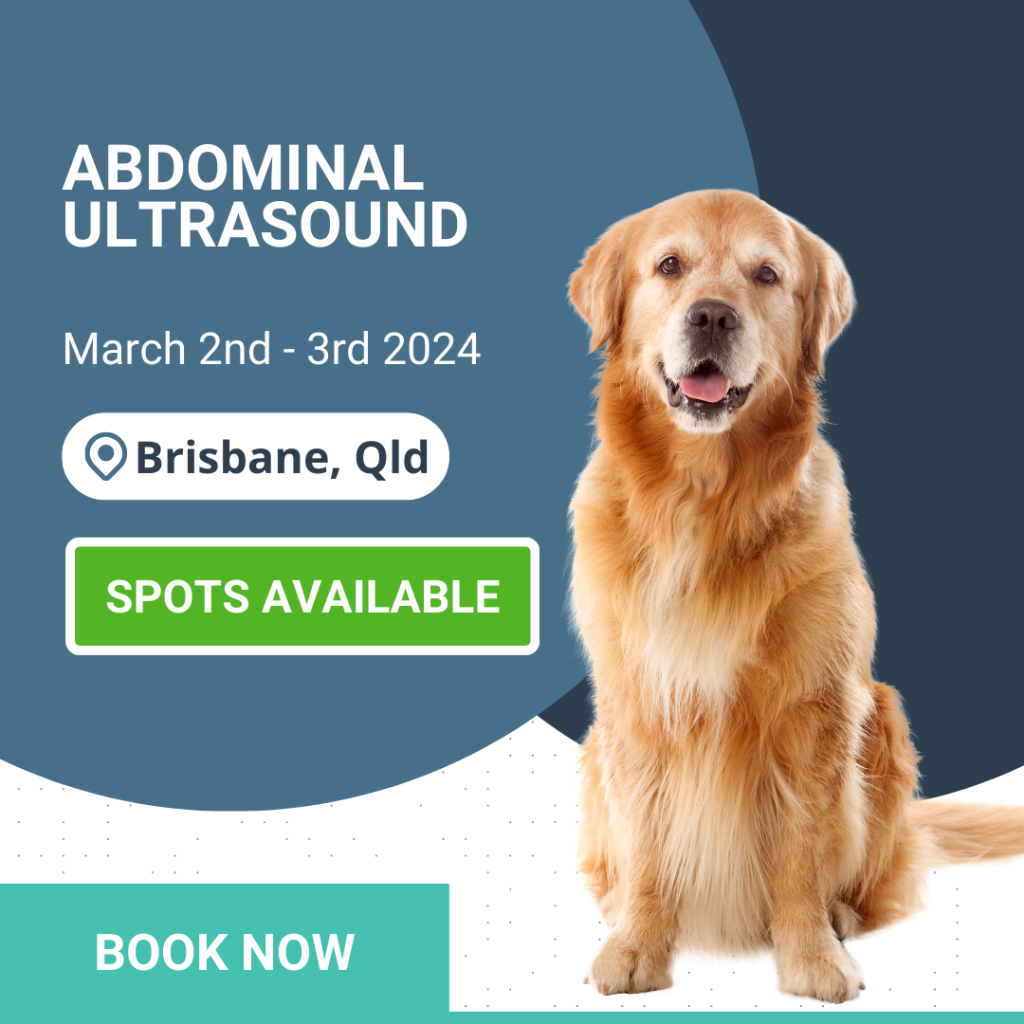 Abdominal ultrasound Workshop book now