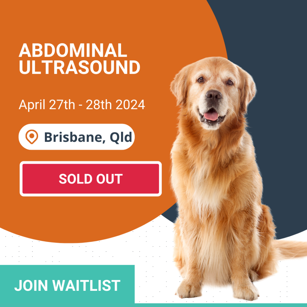 Abdominal ultrasound Workshop sold out 1