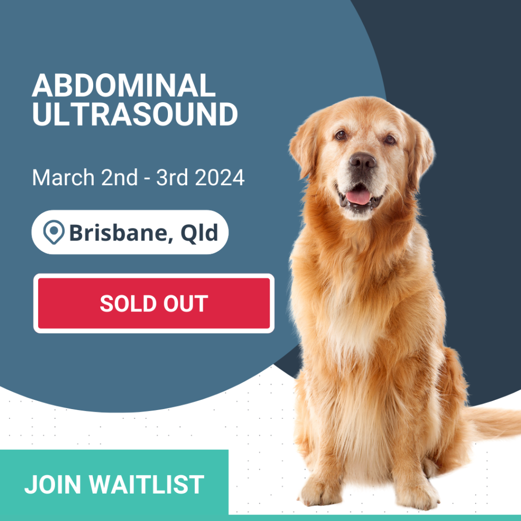 Abdominal ultrasound Workshop sold out