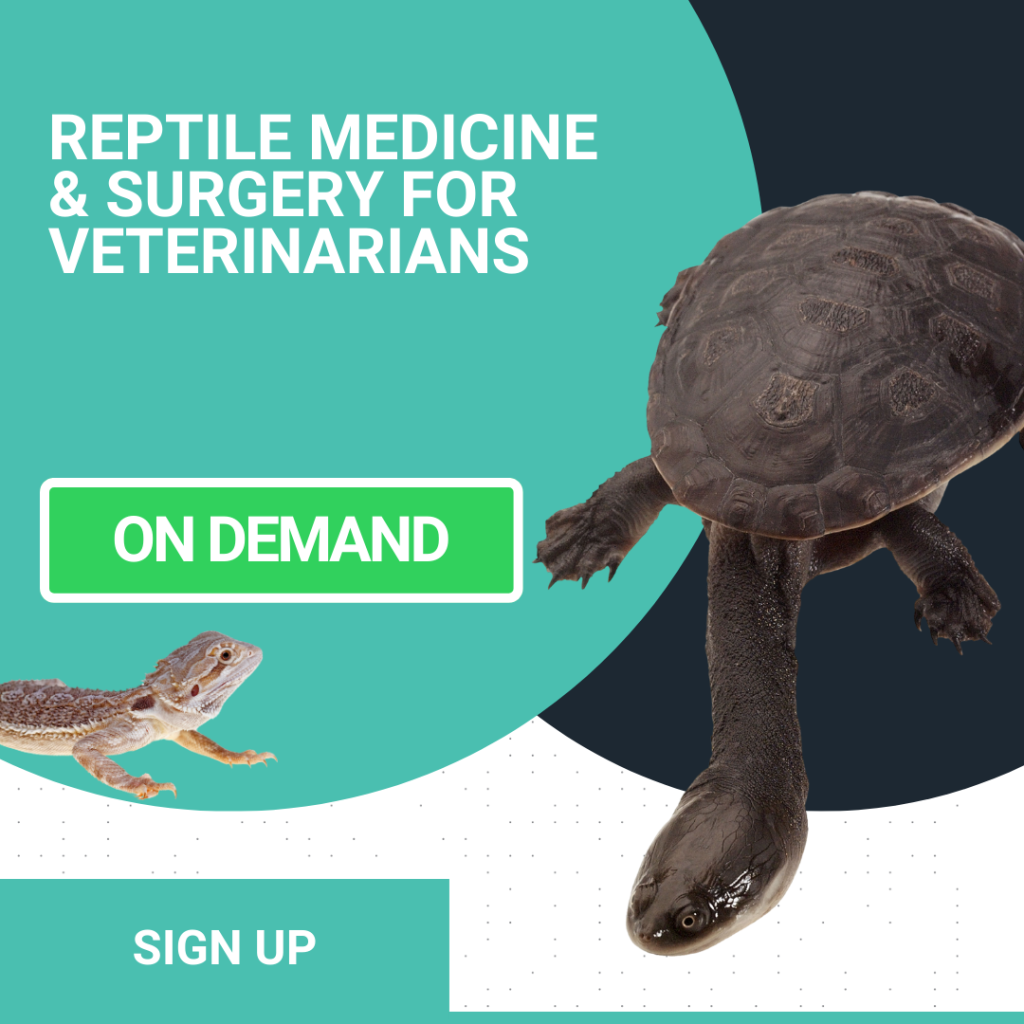 Reptile Medicine 1