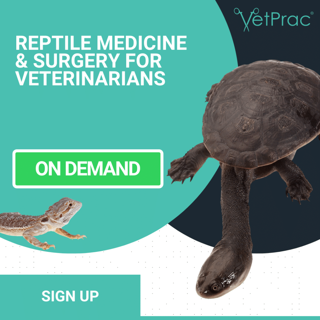 Reptile Medicine 2
