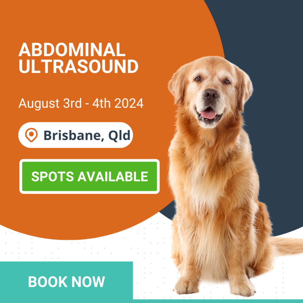 Abdominal ultrasound Workshop BOOK NOW