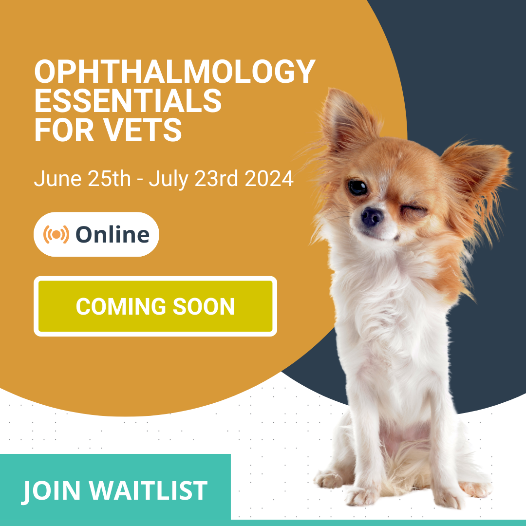 OPHTHALMOLOGY ESSENTIALS FOR VETSCOMING SOON 2