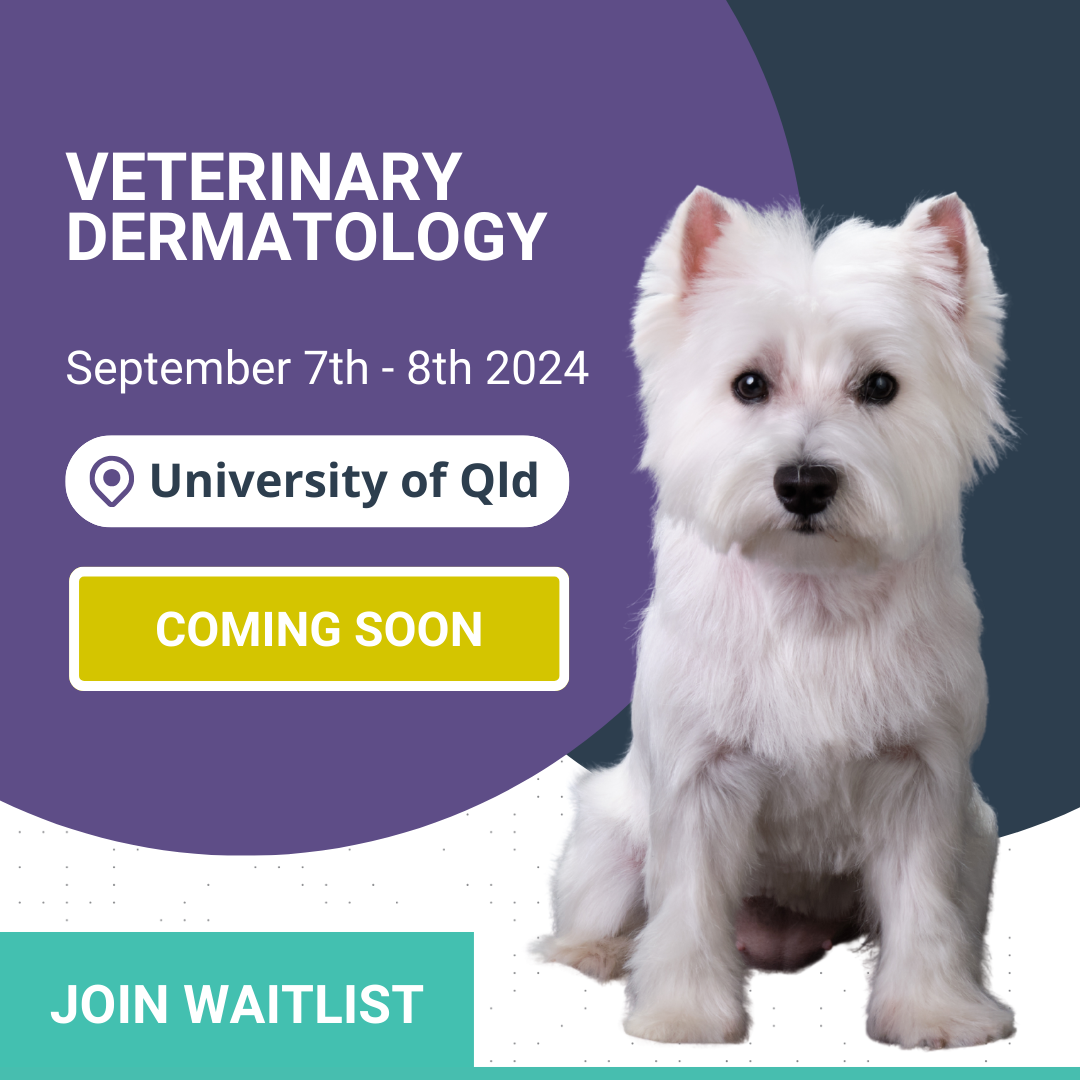 Veterinary Dermatology book now 2
