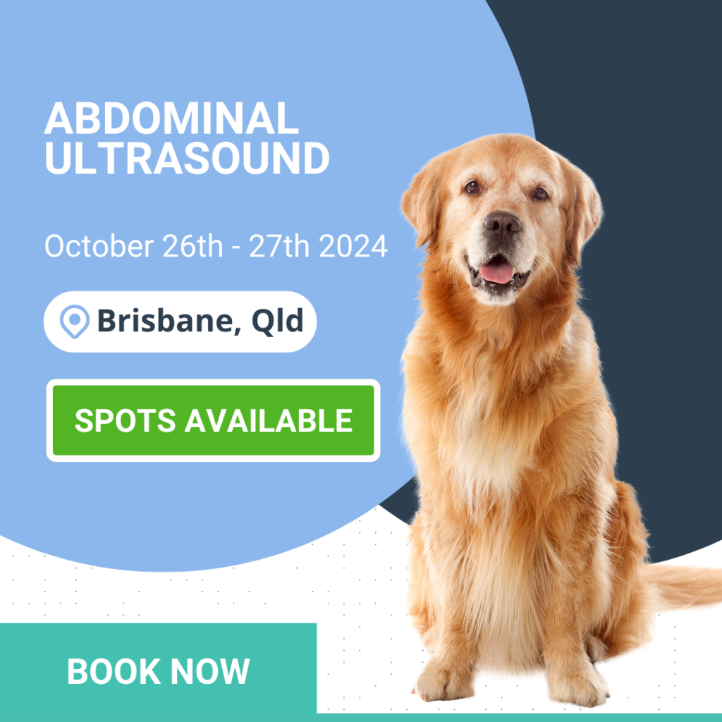 Abdominal ultrasound Workshop book now