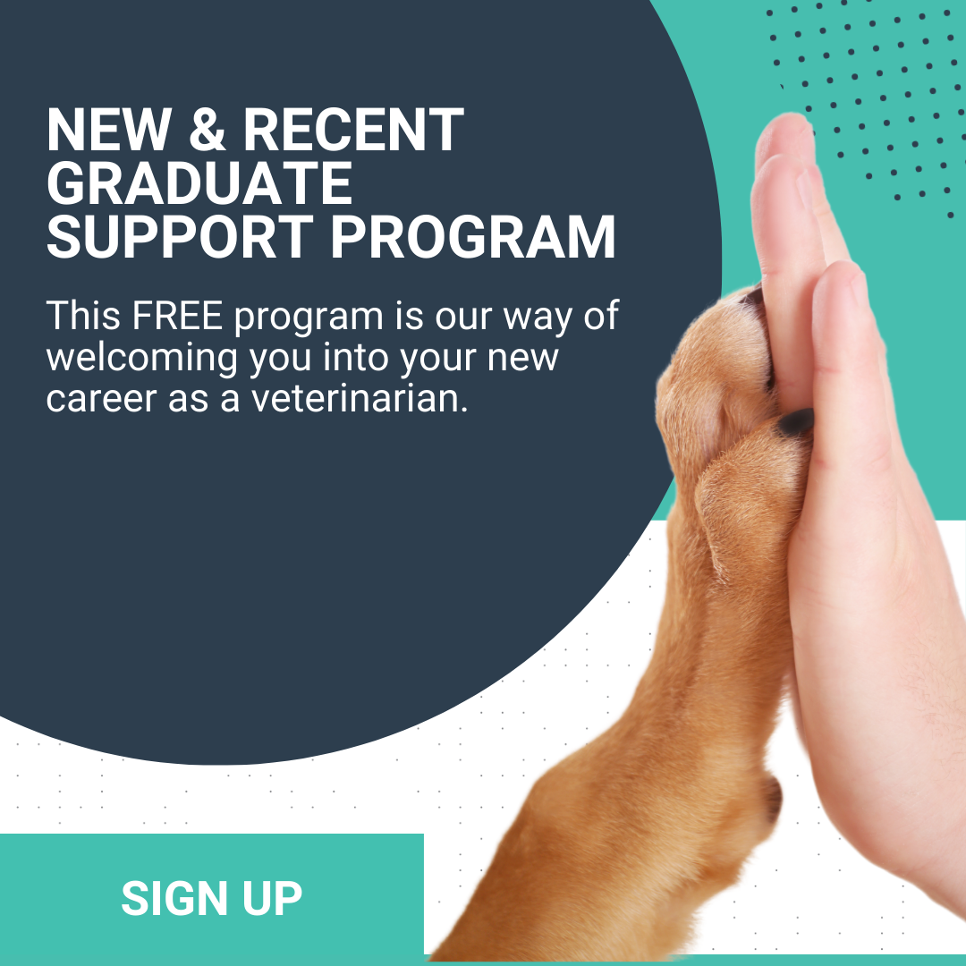 New grad support program