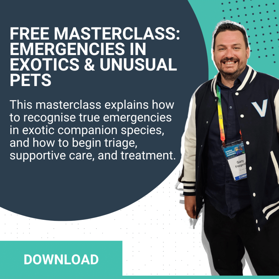Vetpro Lessons FREE VETERINARY CPD - VetPrac