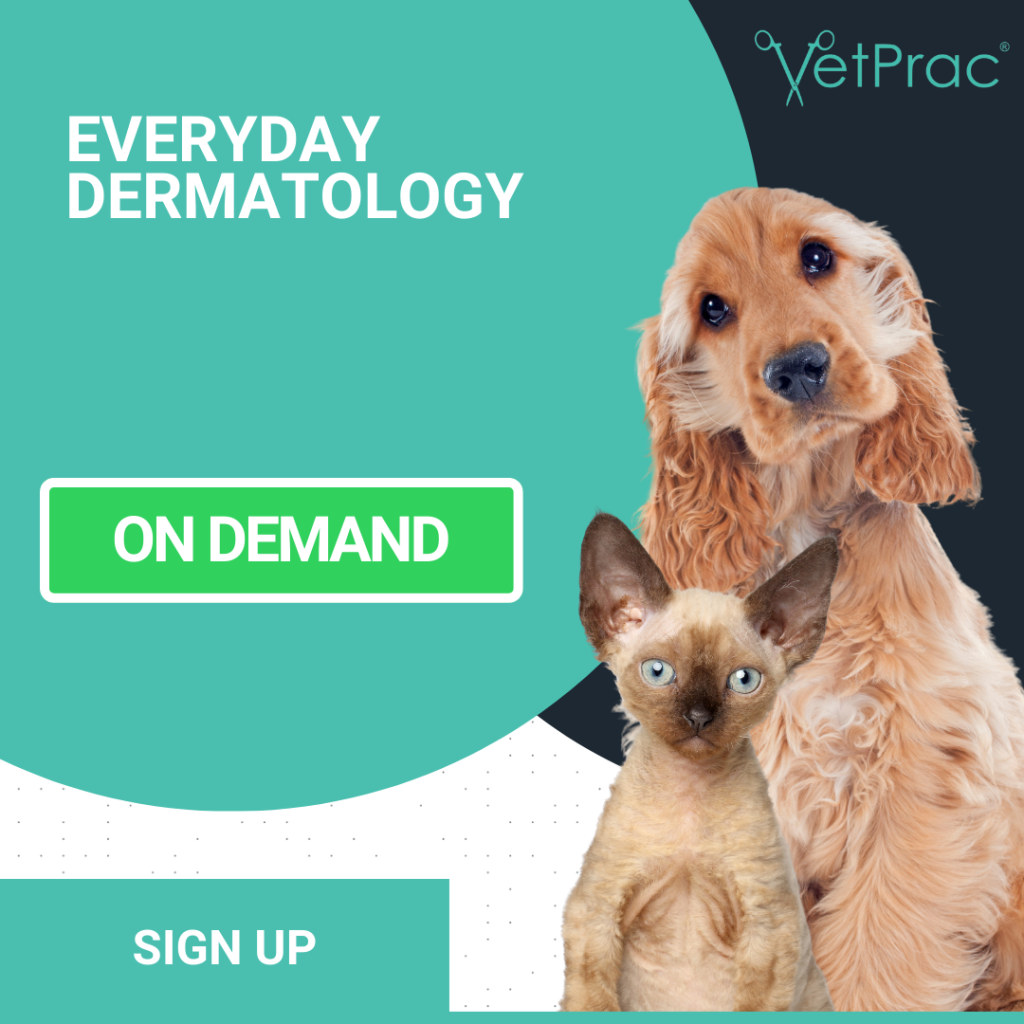 Everyday Dermatology