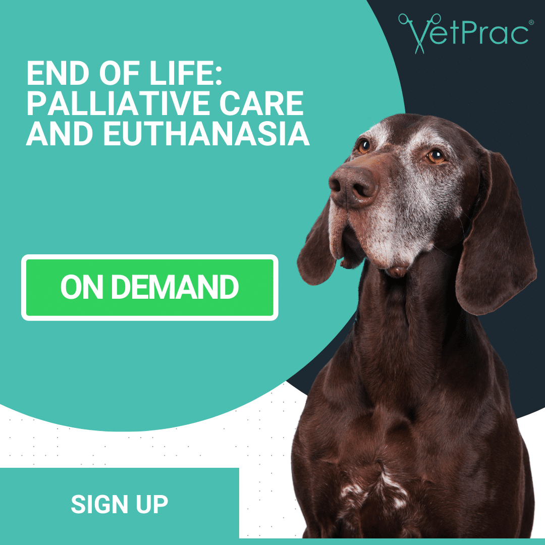END OF LIFE PALLIATIVE CARE AND EUTHANASIA VetPrac end-of-life-palliative-care-and-euthanasia-vetprac