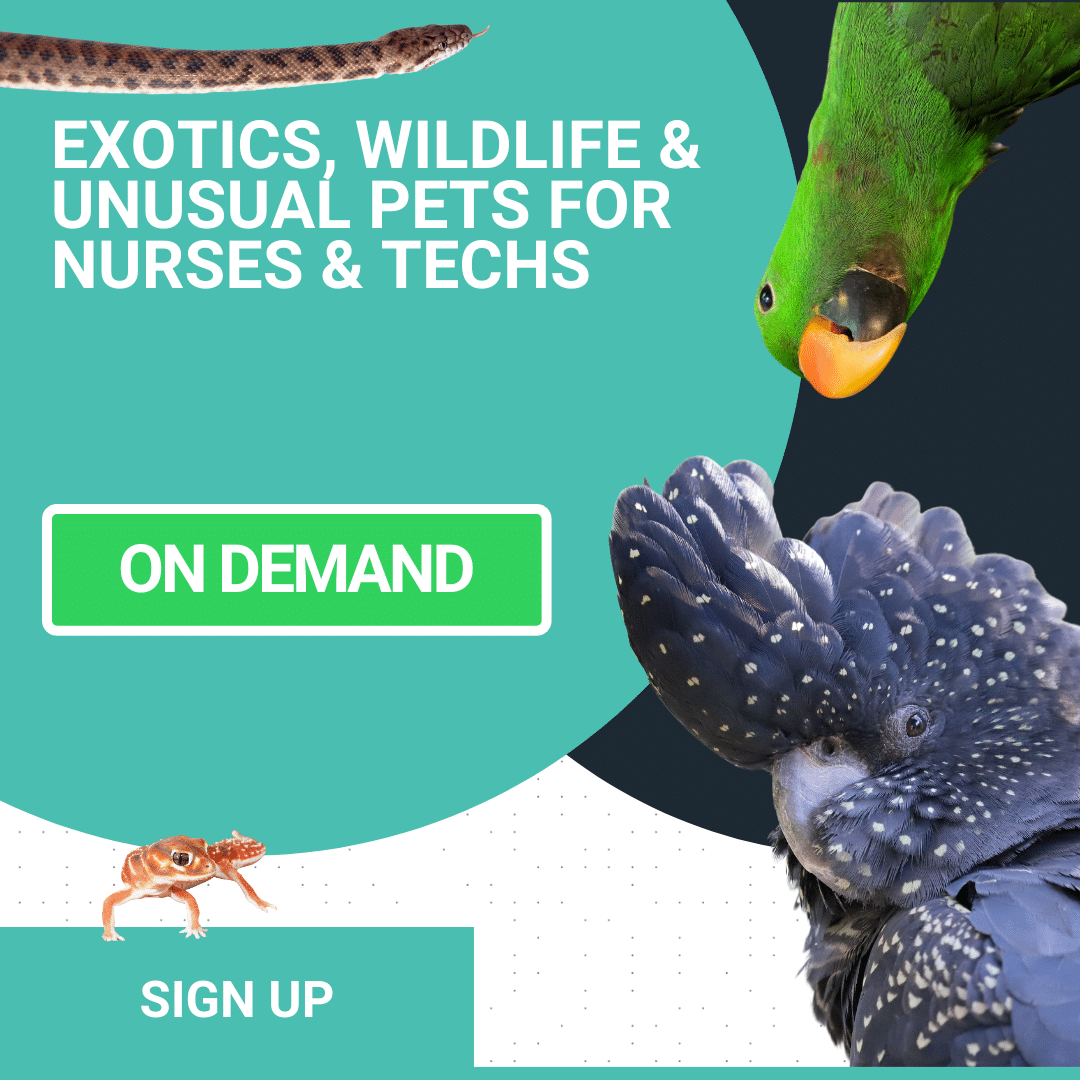 Not Normal Exotics Exotics, Wildlife & Unusual Pets for Nurses & Techs - VetPrac