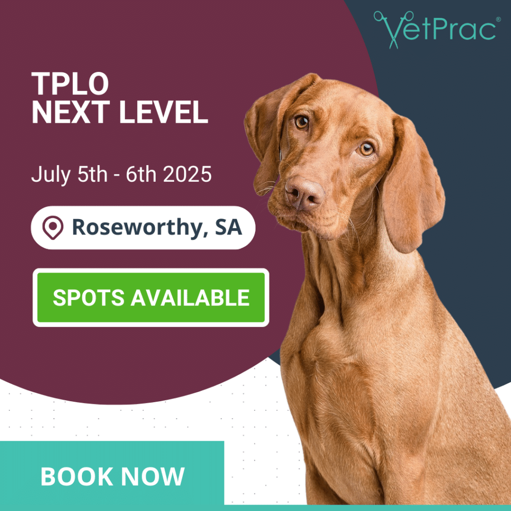 tplo 2 BOOK NOW 6