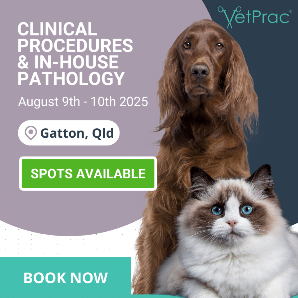 clinical procedures book now 3