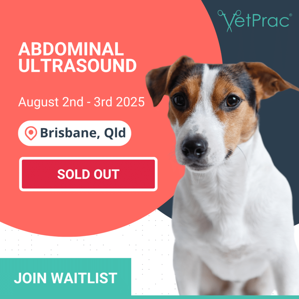 Abdominal ultrasound Workshop book now 1
