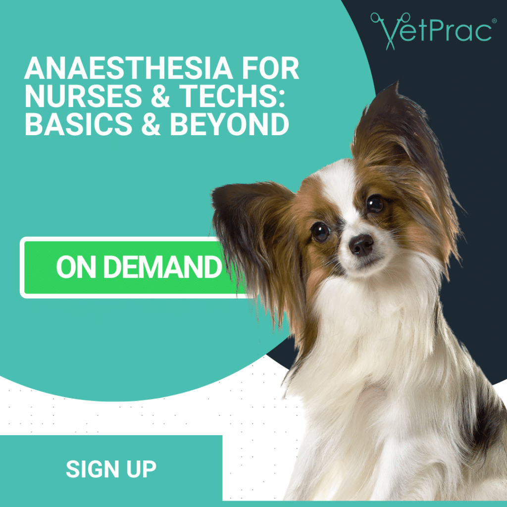 ANAESTHESIA FOR NURSES TECHS BASICS BEYOND