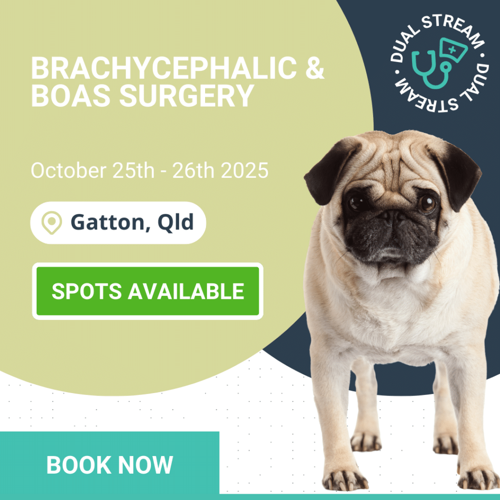 Brachy Workshop book now