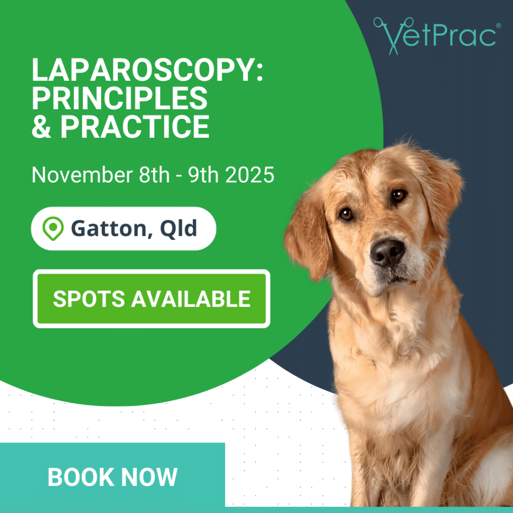 book now
