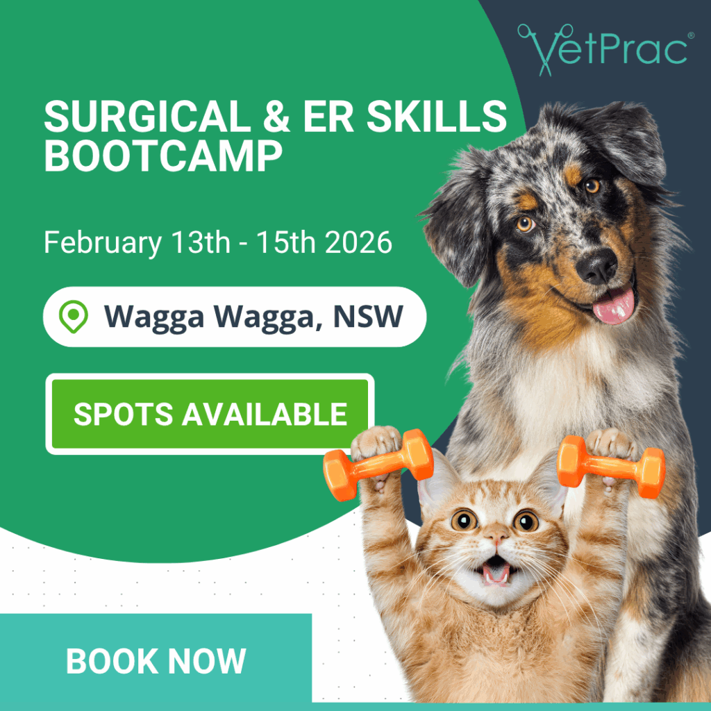 book now