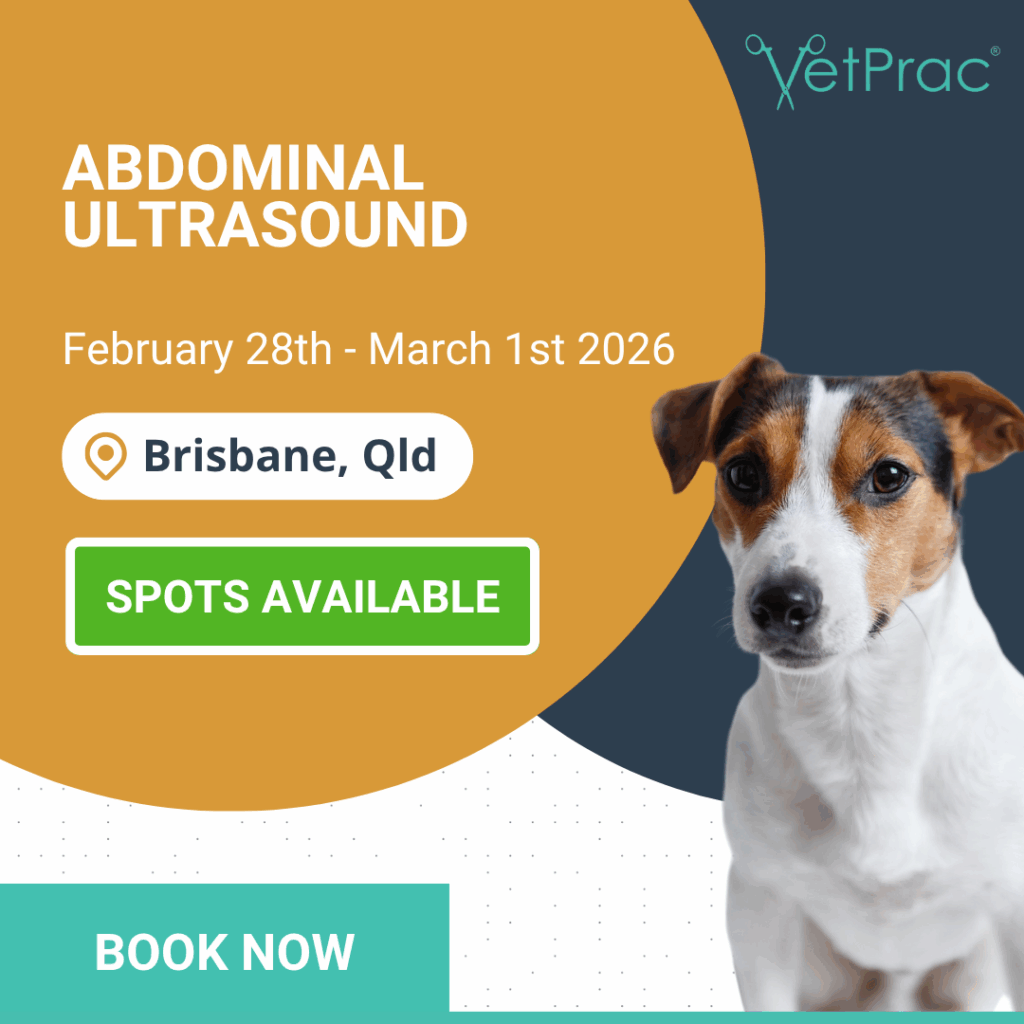 book now 5