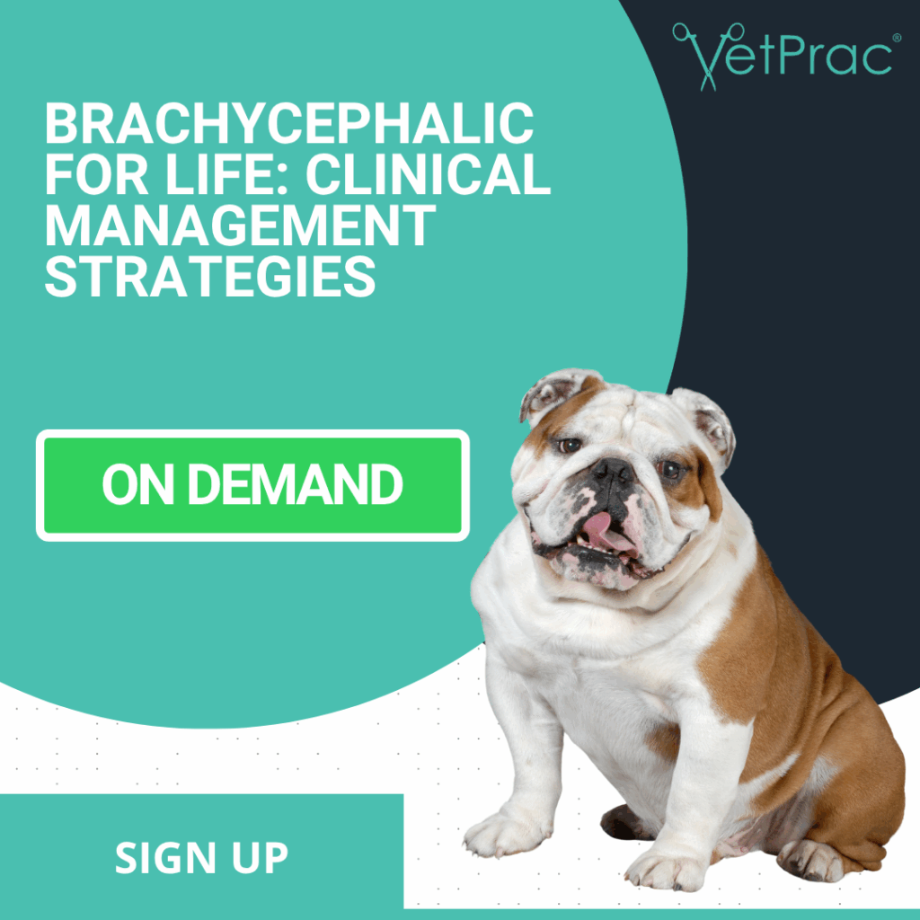 brachy for life tile 2