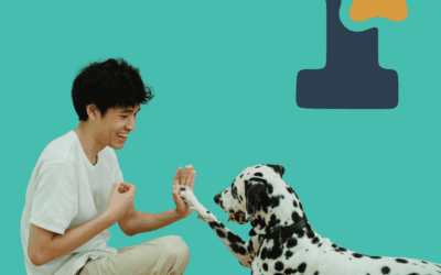 Putting Pets and People First, One Workshop at a Time