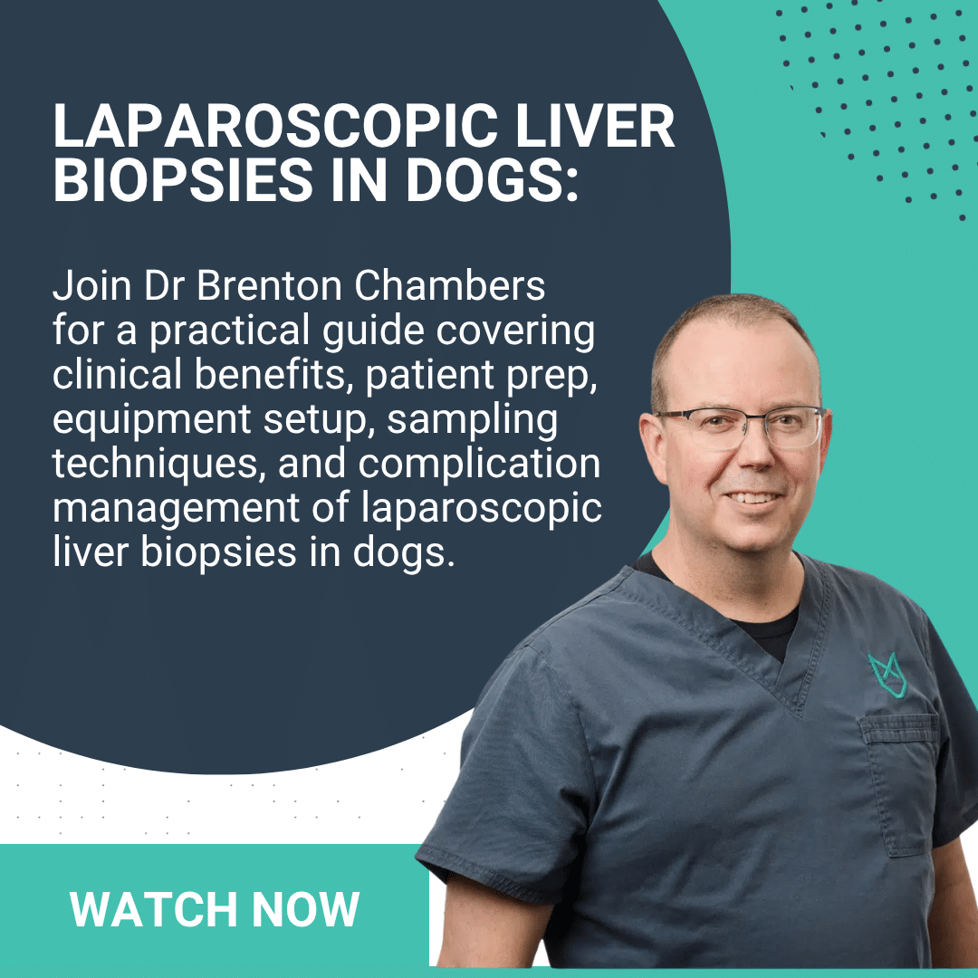 laparoscopic
