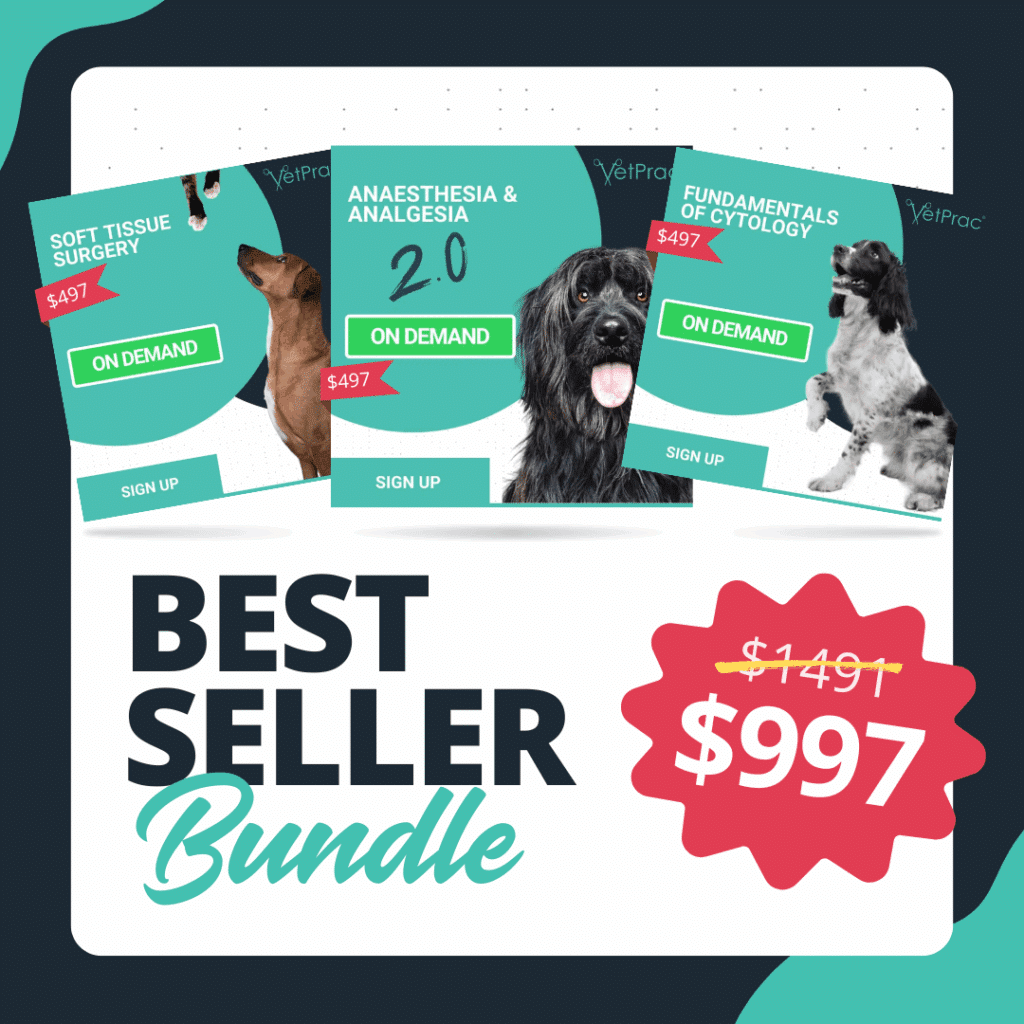Best Seller Bundle 1