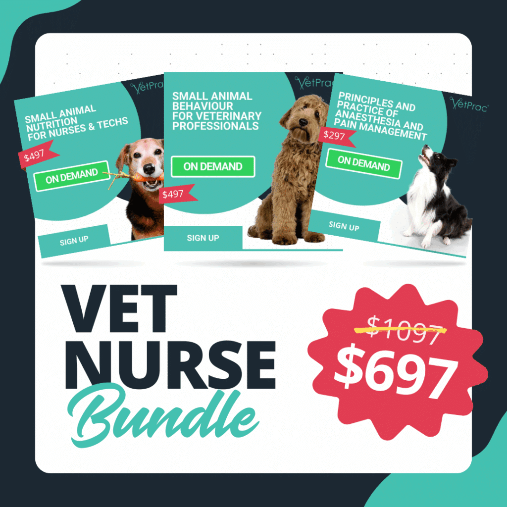Best Seller Bundle 2