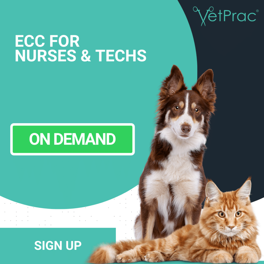 ECC for Nurses Techs On Demand